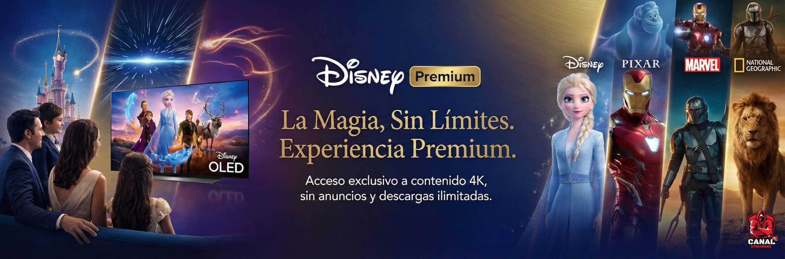 disney premium